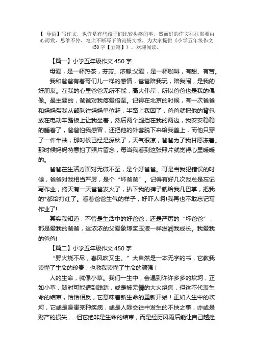 小学五年级作文450字【五篇】