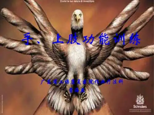 手、上肢功能训练