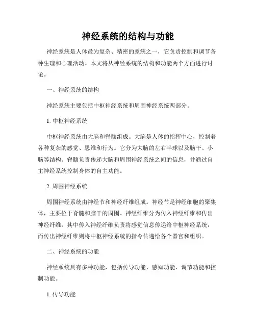 神经系统的结构与功能