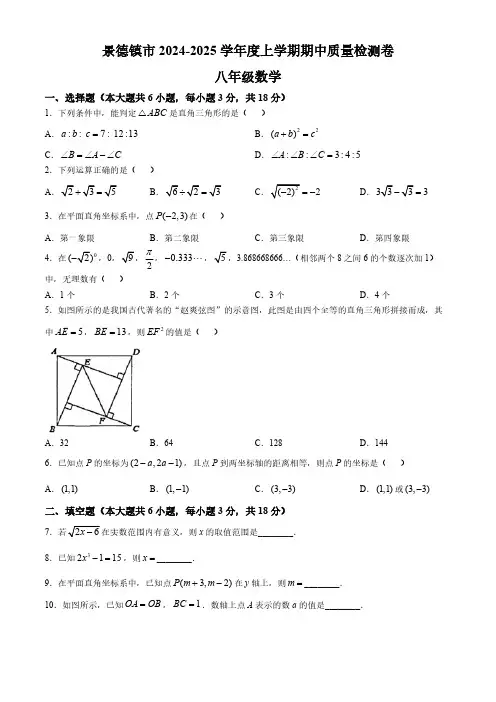 江西省景德镇市2024-2025学年上学期11月八年级数学期中考试试卷(含答案)