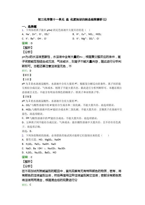 初三化学第十一单元 盐 化肥知识归纳总结附解析(1)