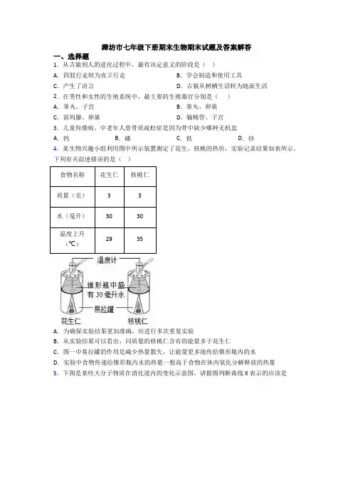 潍坊市七年级下册期末生物期末试题及答案解答