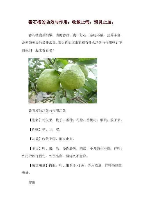 番石榴的功效与作用：收敛止泻,消炎止血。