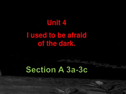 Unit4 SectionA 3a-3c 课件人教版新目标英语九年级全一册 (1)