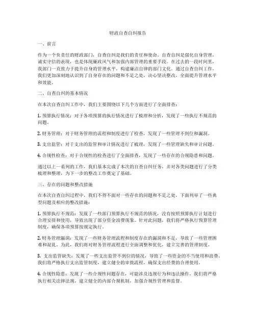 财政自查自纠报告