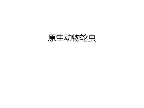 原生动物轮虫复习课程