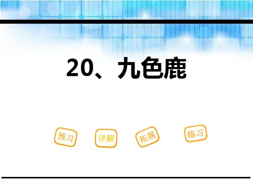 《九色鹿》语文教学PPT课件(2篇)
