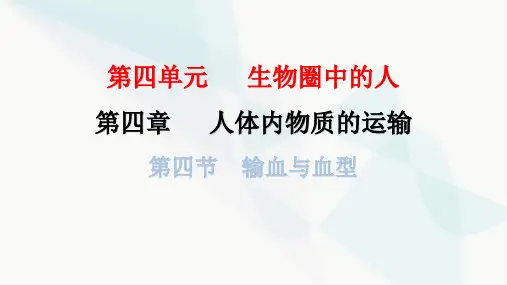人教版七年级生物下册第四章第四节输血与血型课件