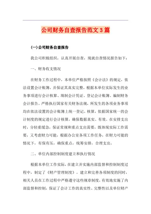 公司财务自查报告范文3篇