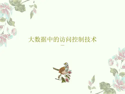 大数据中的访问控制技术PPT38页