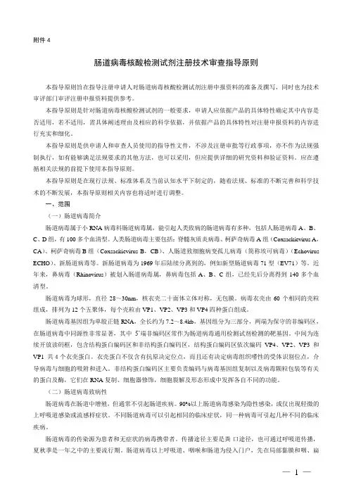 肠道病毒核酸检测试剂注册技术审查指导原则