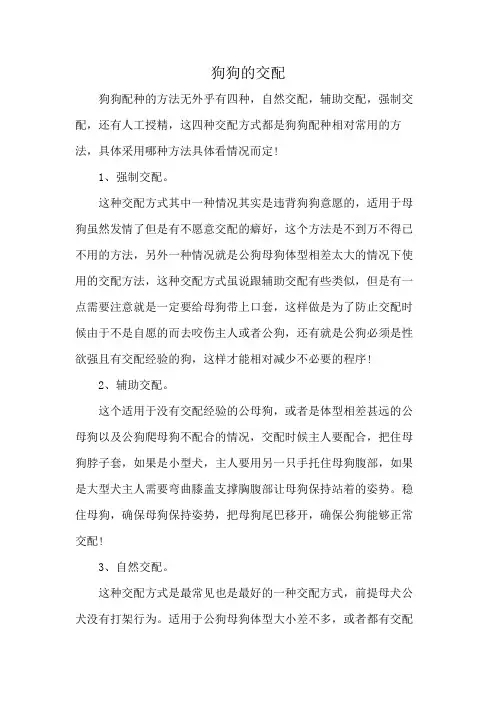 狗狗的交配