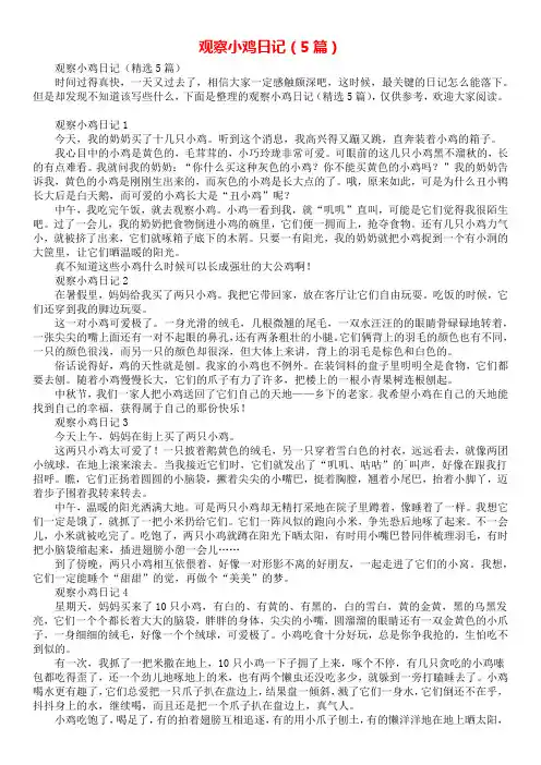 观察小鸡日记(5篇)