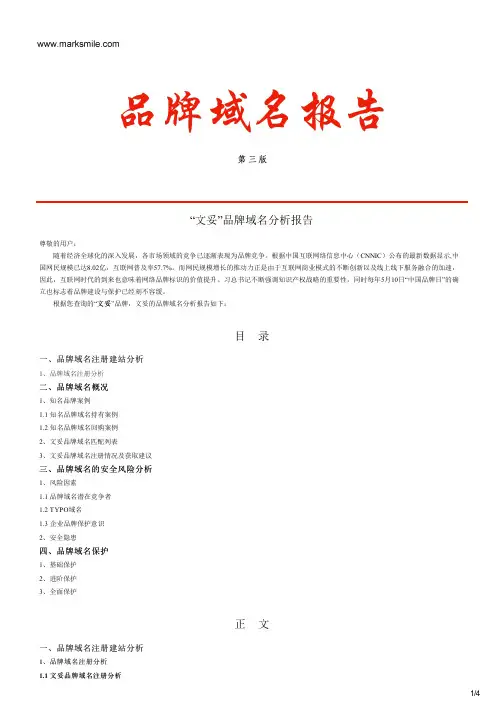 文妥的品牌域名分析报告