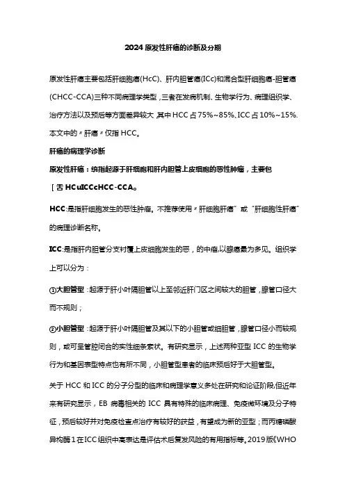 2024原发性肝癌的诊断及分期