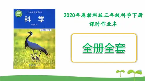 新教科版科学三年级下册课课练习全册含答案