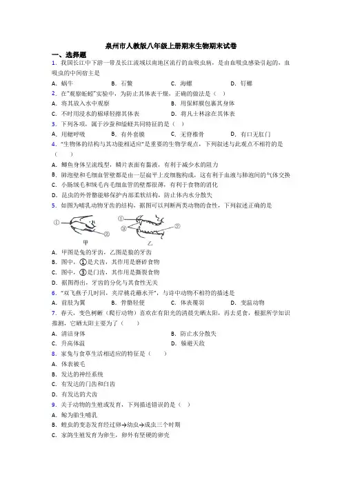 泉州市人教版八年级上册期末生物期末试卷