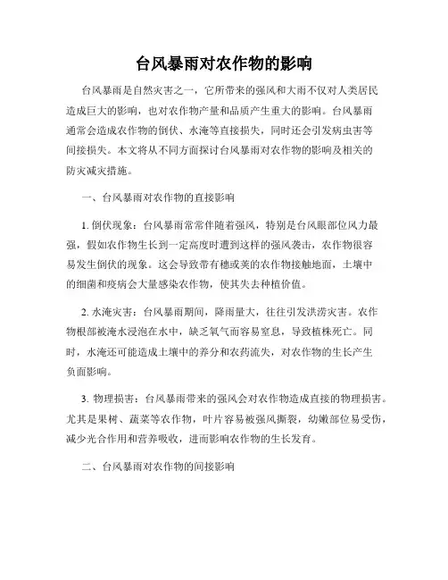 台风暴雨对农作物的影响