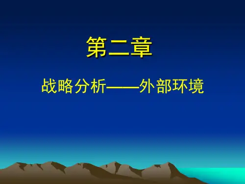 公司战略与风险管理(第2章)
