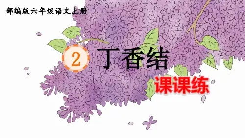 部编版六年级语文上册第2课《丁香结》课后练习题(附答案)