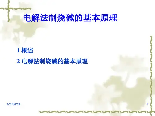 电解法制烧碱的基本原理精选全文