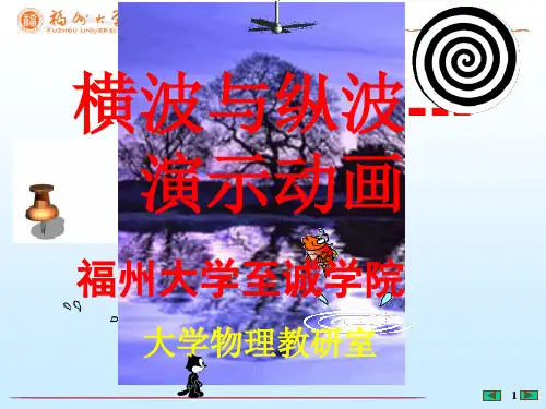 大学物理演示动画  横波与纵波 福州大学至诚学院
