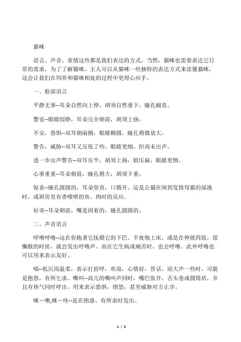 猫咪的特别行为和语言介绍