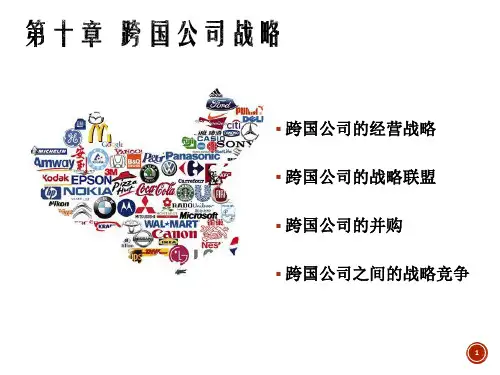 新跨国公司战略(PPT45页)