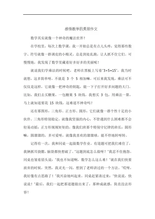 感悟数学的美丽作文