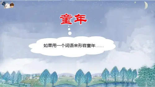 23 童年的发现课件(共24张PPT)