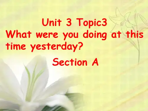 仁爱版八年级英语上册 Unit 3 Topic 3 Section A 课件(共28张PPT)