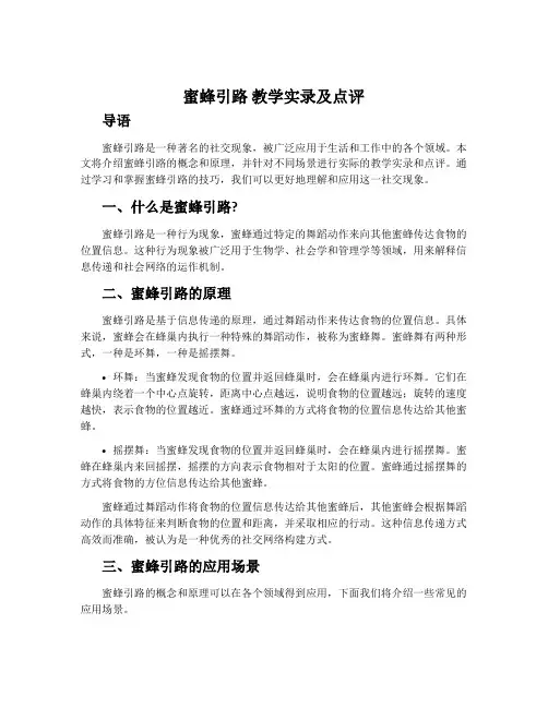 《蜜蜂引路》教学实录及点评