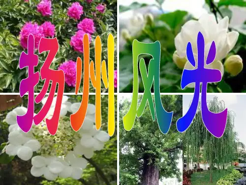 优质课《扬州慢》诗歌赏析