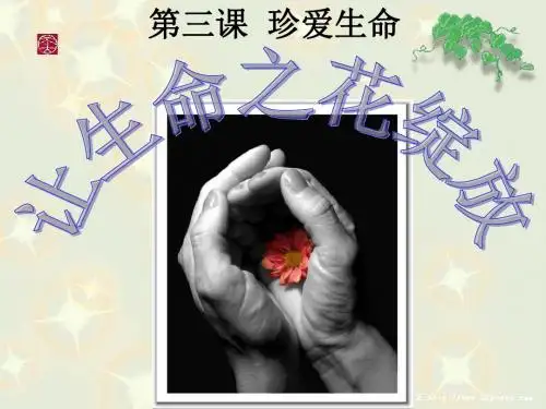 让生命之花绽放PPT
