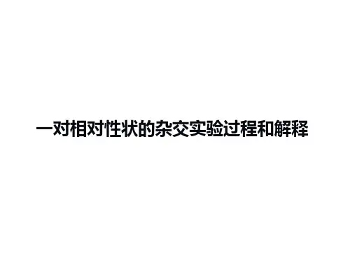 一对相对性状的杂交实验过程和解释 课件