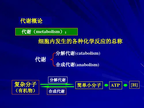 微生物学-第六章-微生物的代谢课件
