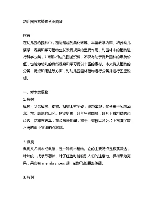 幼儿园园林植物分类图鉴 幼儿园植物分类