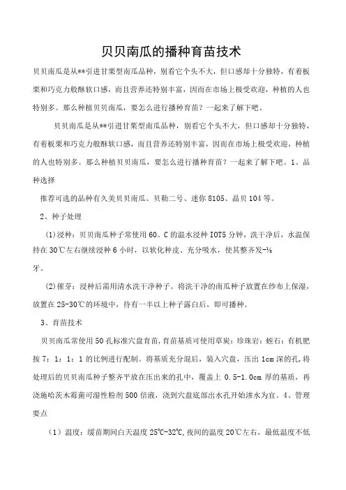 贝贝南瓜的播种育苗技术