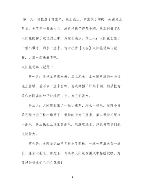 【必备】太阳花观察日记三篇