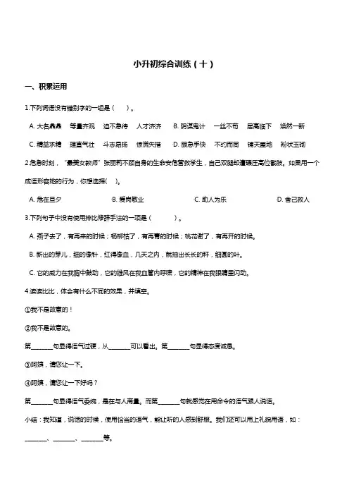 2019年小升初名校冲刺语文综合训练(10)人教课标( 含答案)