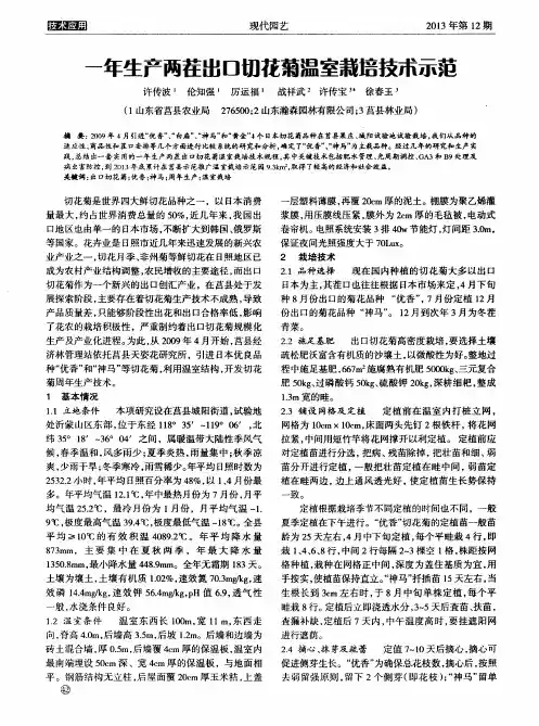 一年生产两茬出口切花菊温室栽培技术示范