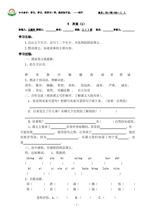 5灰雀