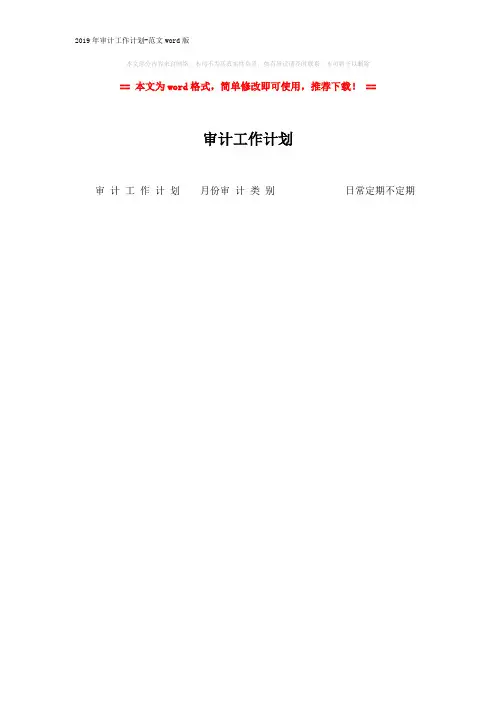 2019年审计工作计划-范文word版 (1页)