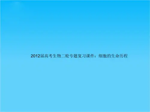 高考生物二轮专题复习 细胞的生命历程课件