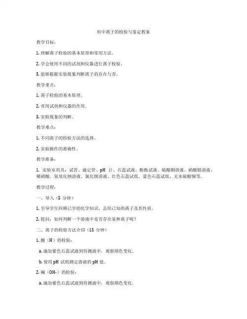 初中离子的检验与鉴定教案