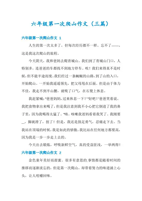 六年级第一次爬山作文(三篇)