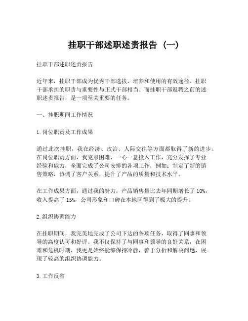 挂职干部述职述责报告 (一)