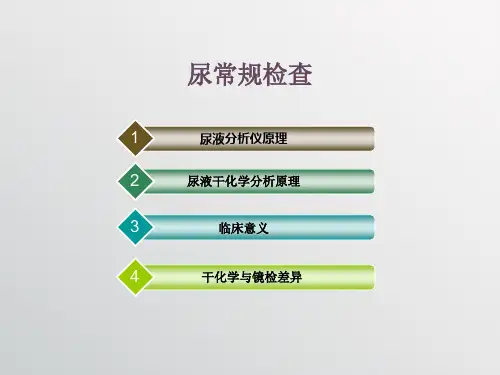 尿常规化学检查PPT课件