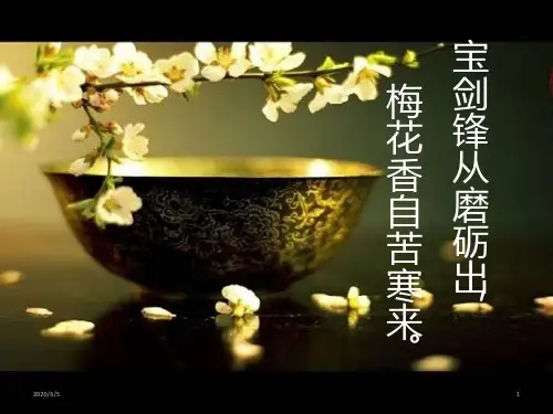 人教版七年级体育与健康：勇敢面对挫折和困难(3) (共43张ppt)