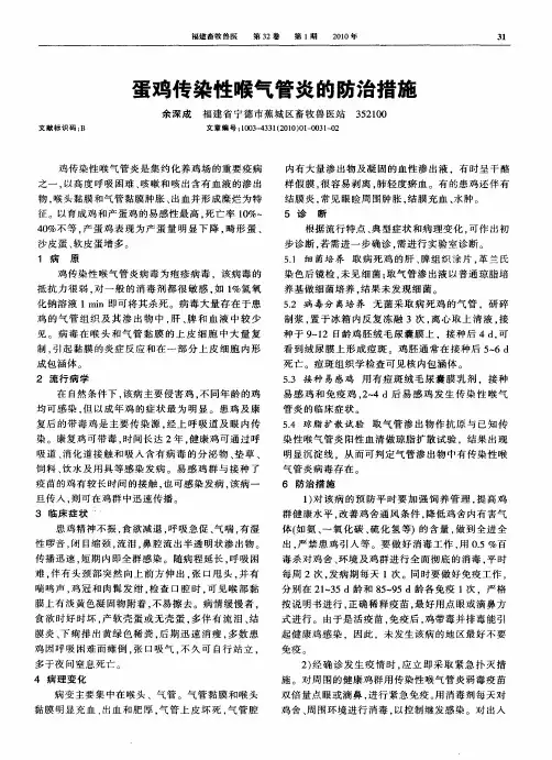 蛋鸡传染性喉气管炎的防治措施
